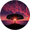 Md. Shadman Islam profile picture
